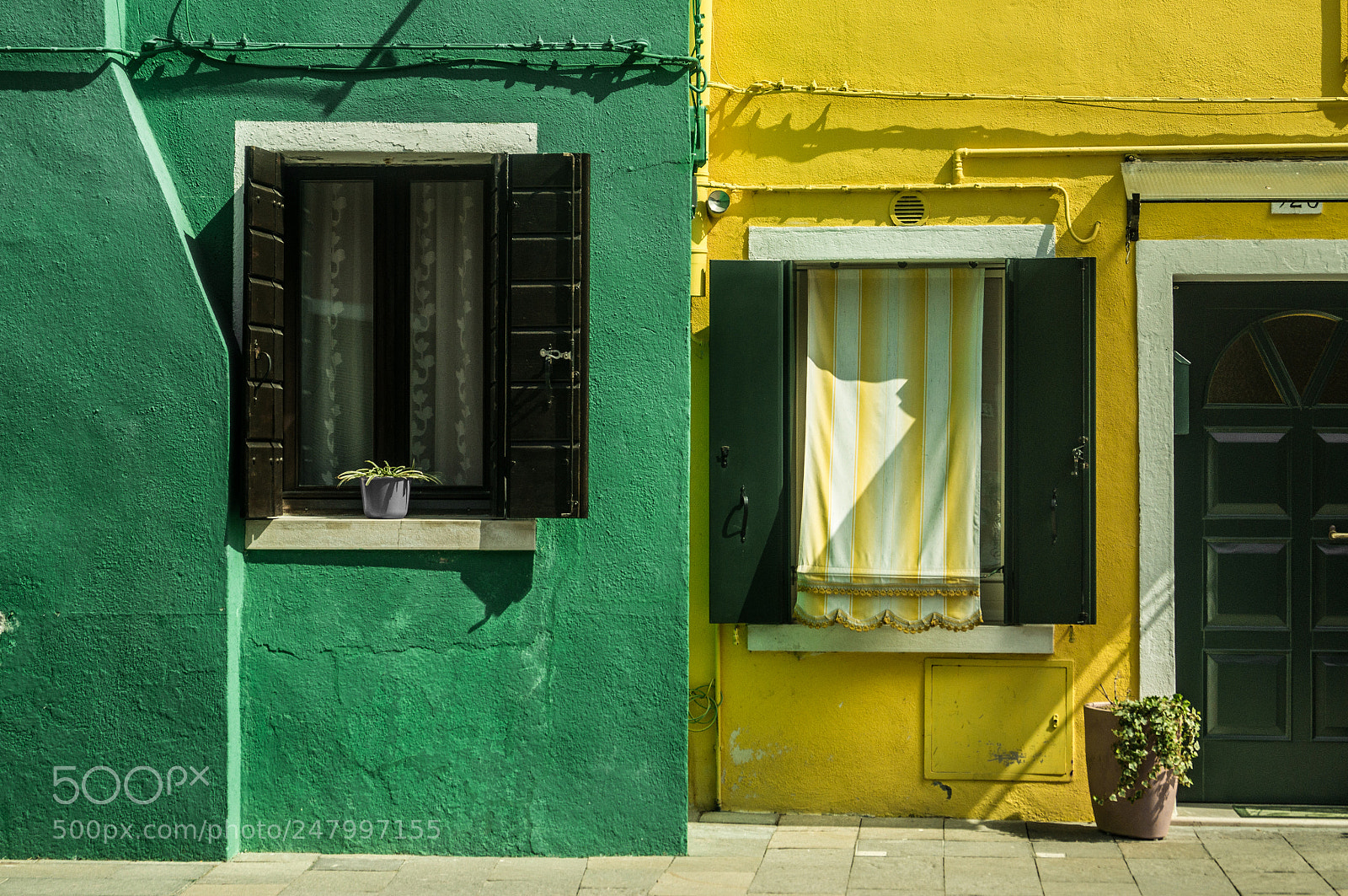 Sony SLT-A37 sample photo. Green and yellow photography