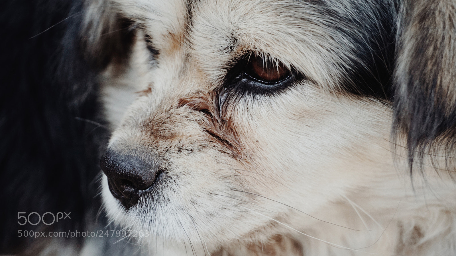 Sony a6300 sample photo. Untitled photography