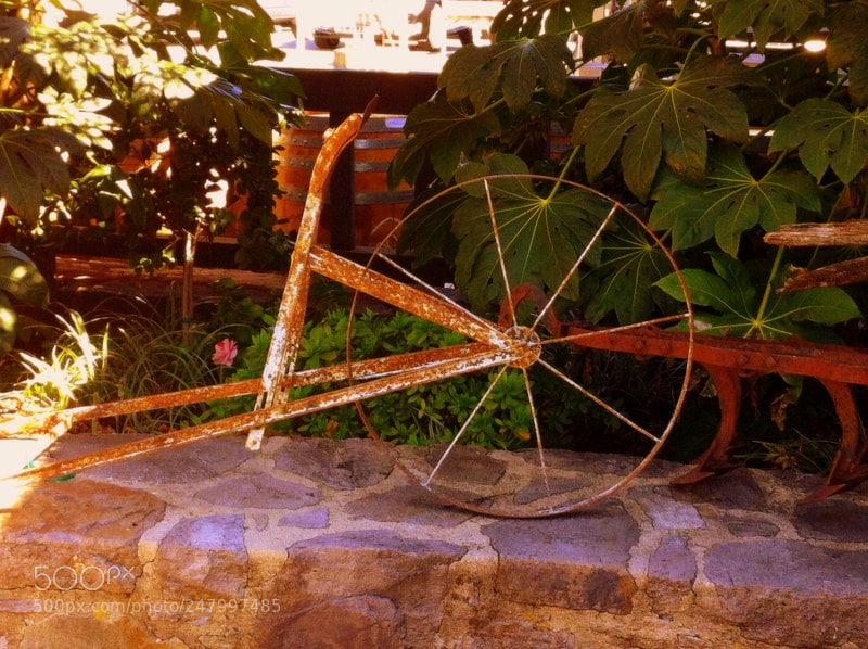Apple iPhone 4 sample photo. Img photography