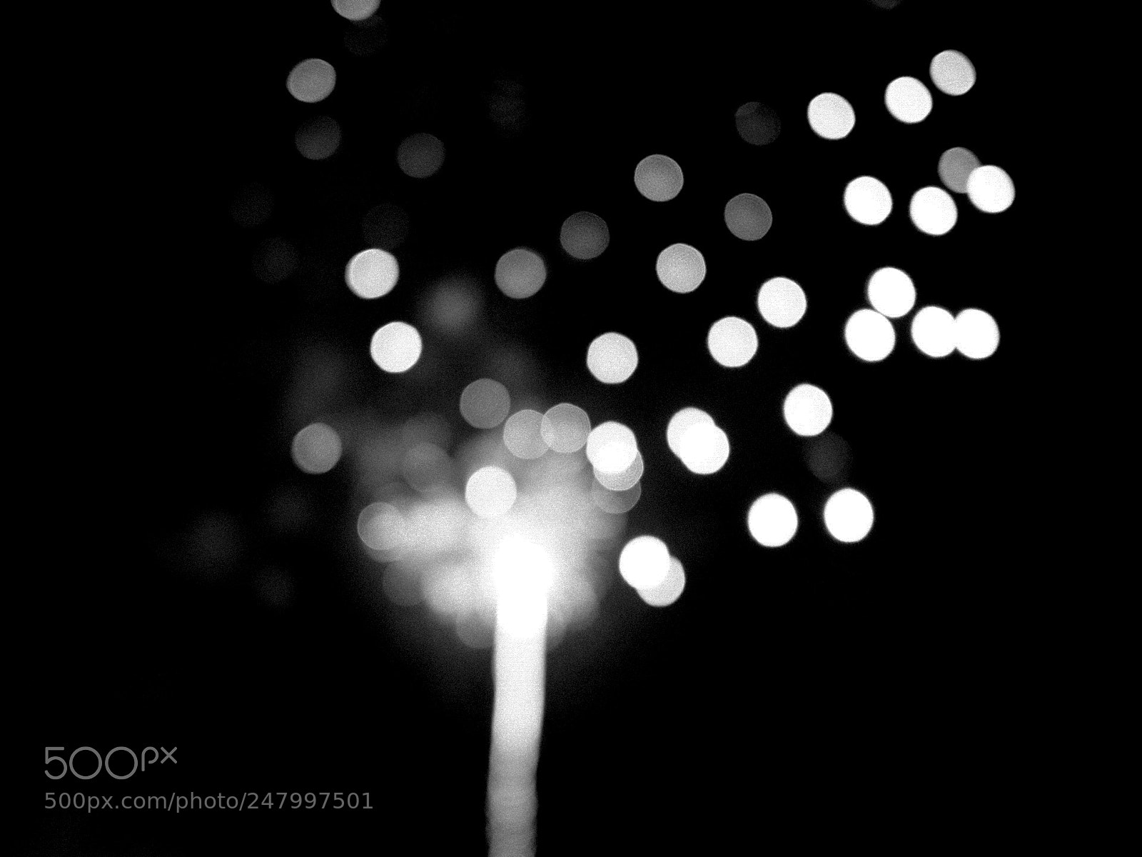 Olympus PEN-F sample photo. Fireworks photography