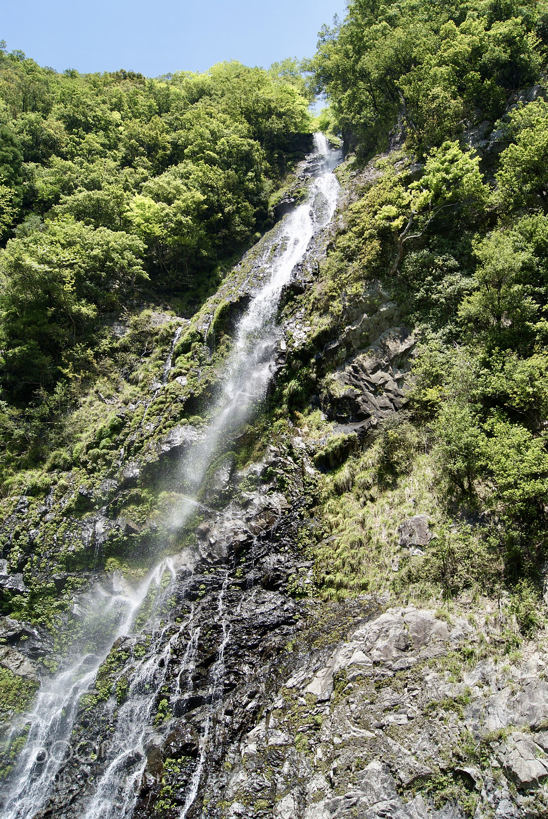 Sony Alpha DSLR-A330 sample photo. 十二瀧 photography