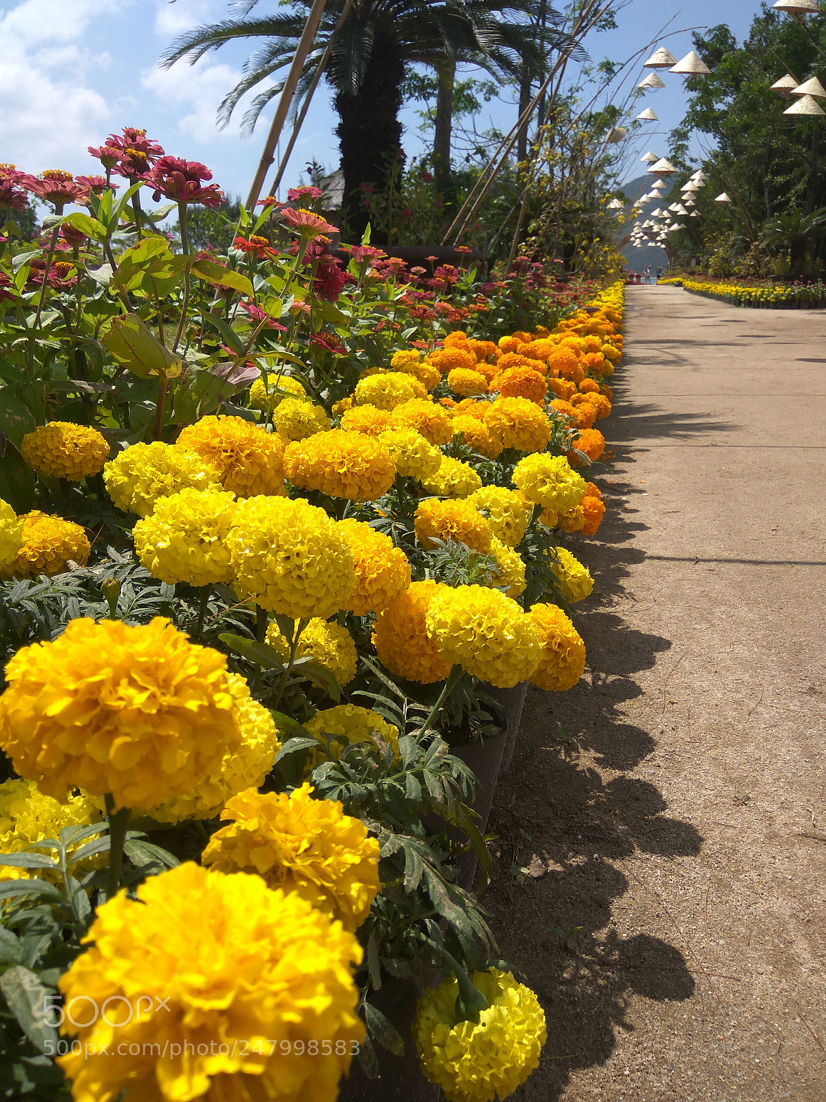 Xiaomi Redmi Note3 sample photo. Untitled photography