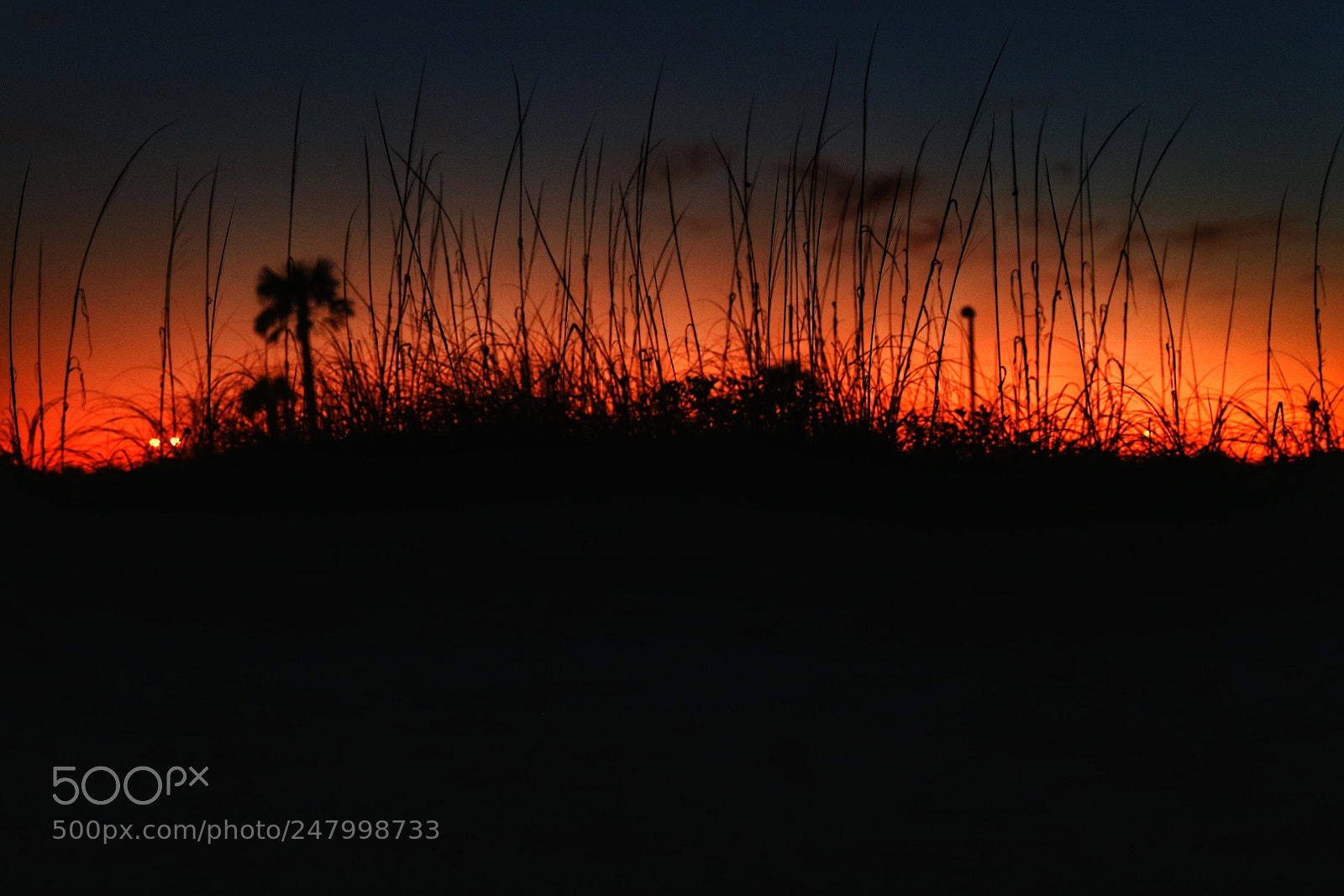 Canon EOS 80D sample photo. Sunset photography