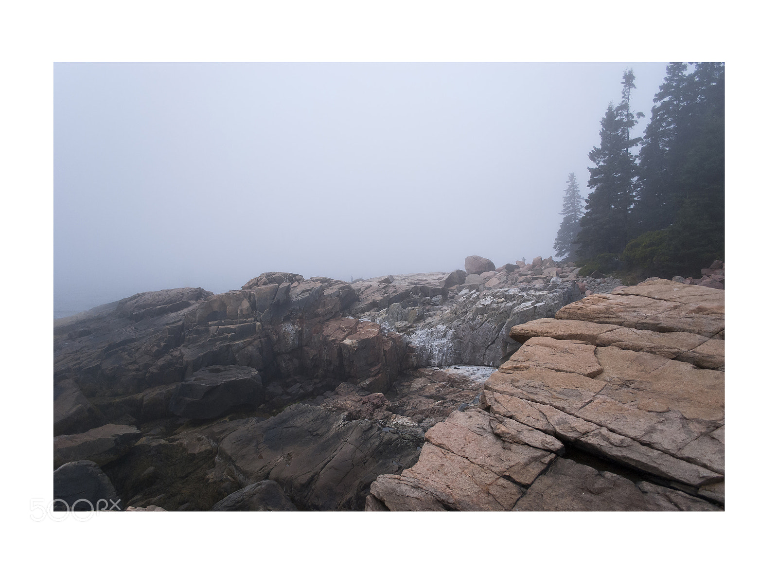 Nikon D80 sample photo. Heavy fog · 浓雾 photography