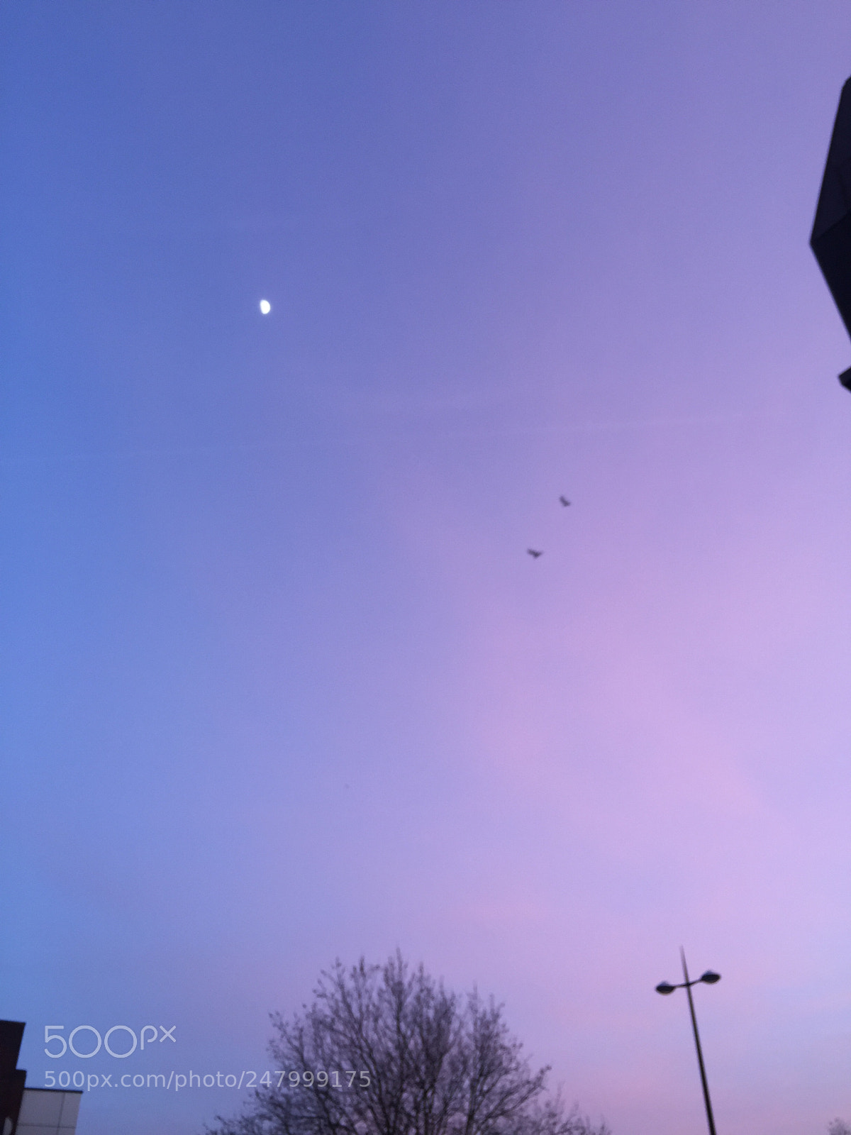 Apple iPhone 6 sample photo. Sunsets photography