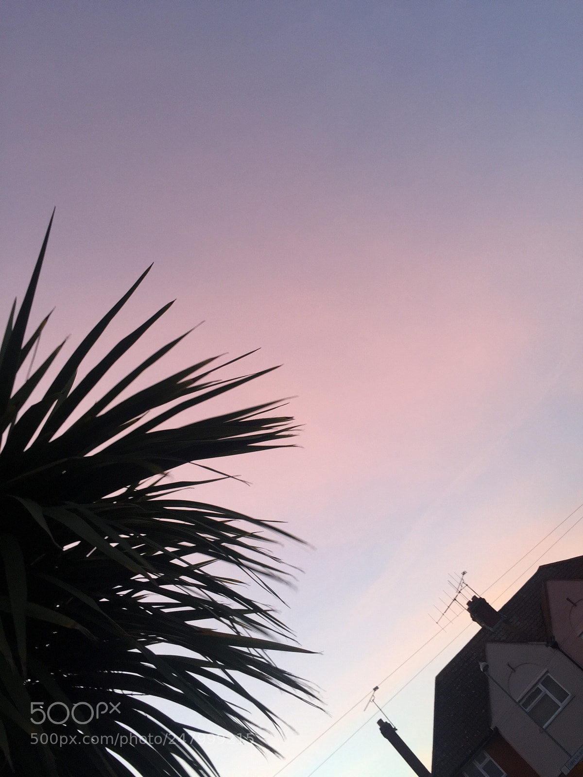 Apple iPhone 6 sample photo. Tropical sunset photography