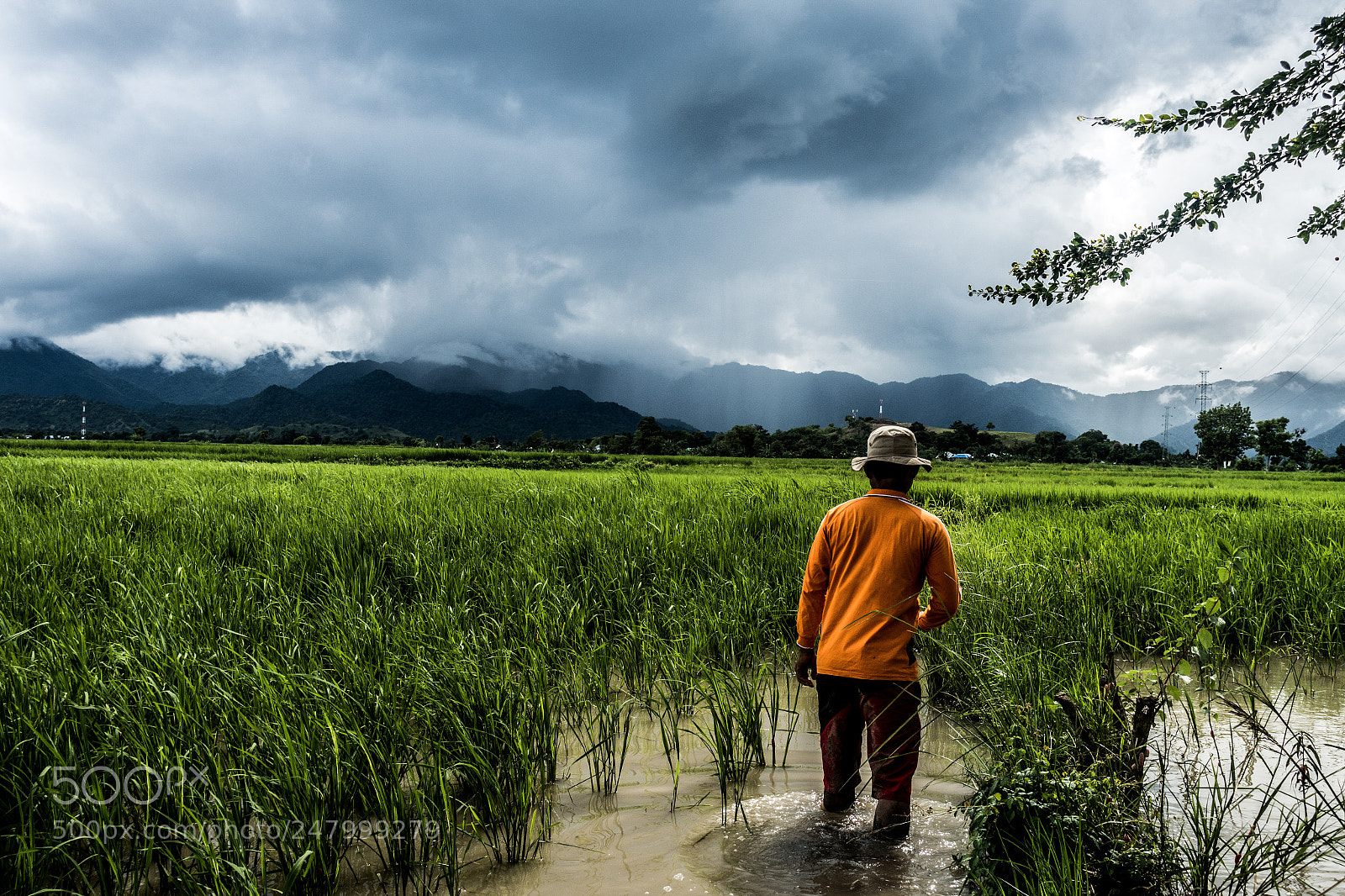 Sony Cyber-shot DSC-RX100 III sample photo. Farmer photography