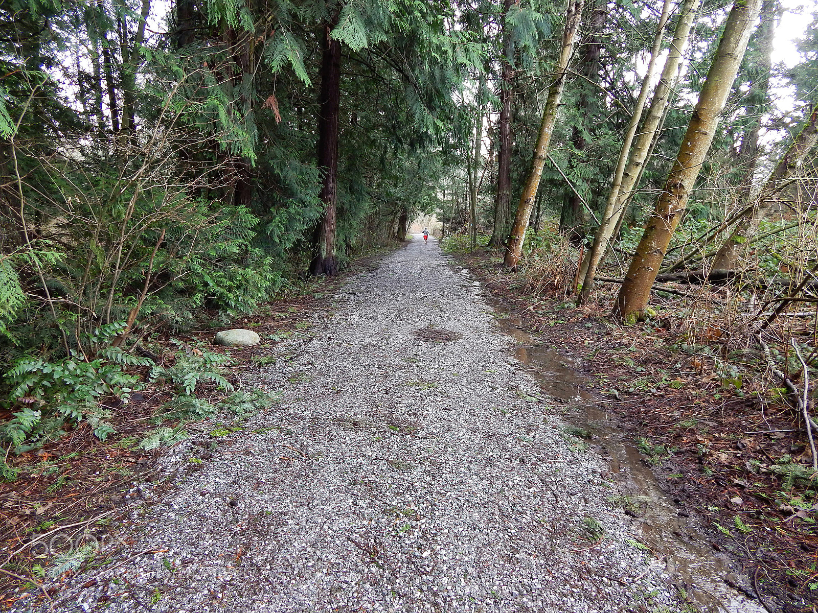 Nikon Coolpix L820 sample photo. (divide d) photography