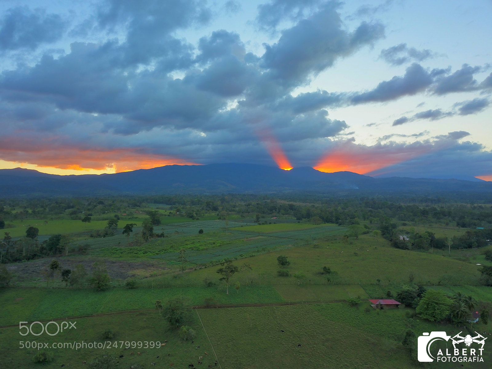 DJI FC220 sample photo. Untitled photography