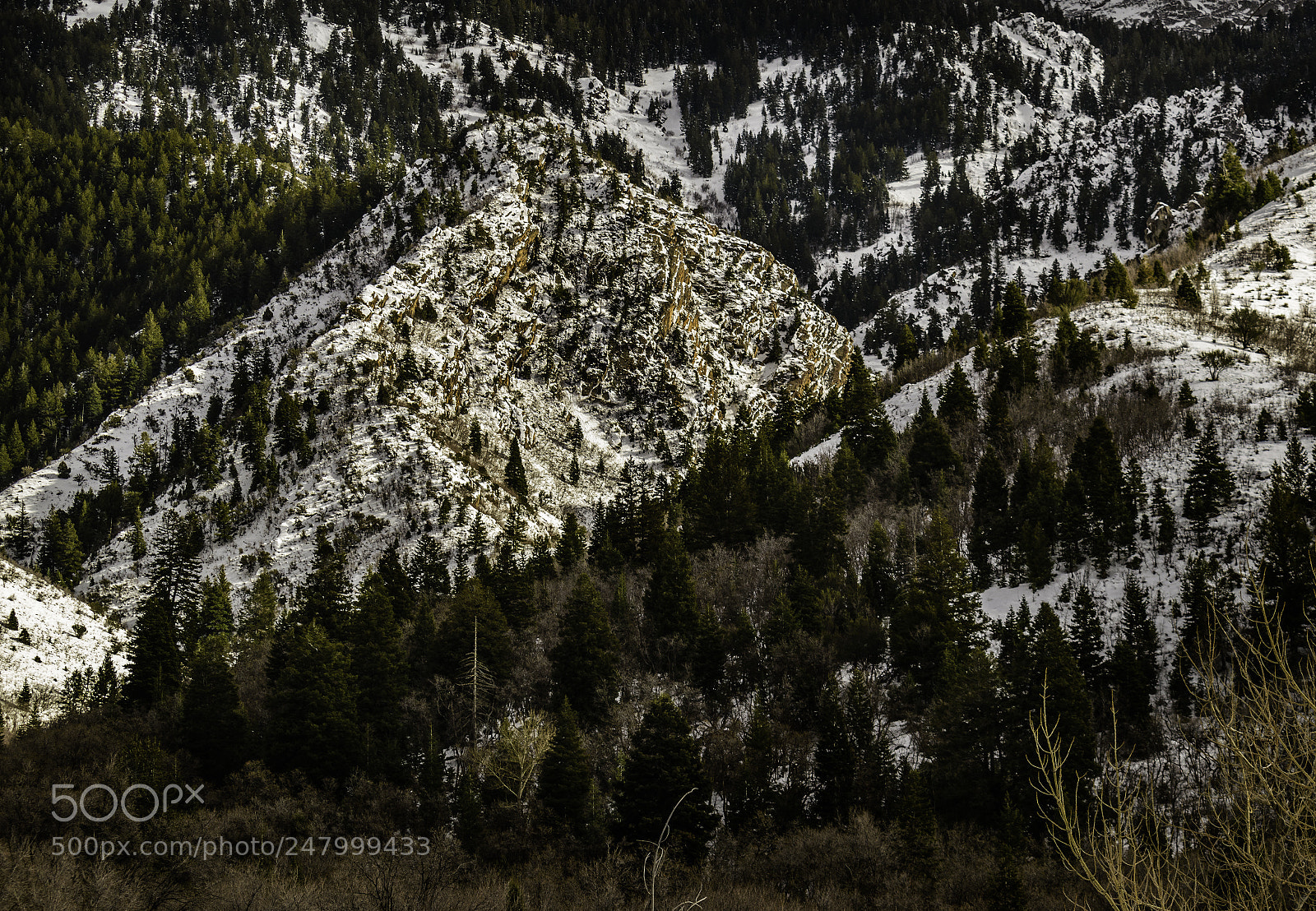 Nikon D5500 sample photo. Neffs canyon photography