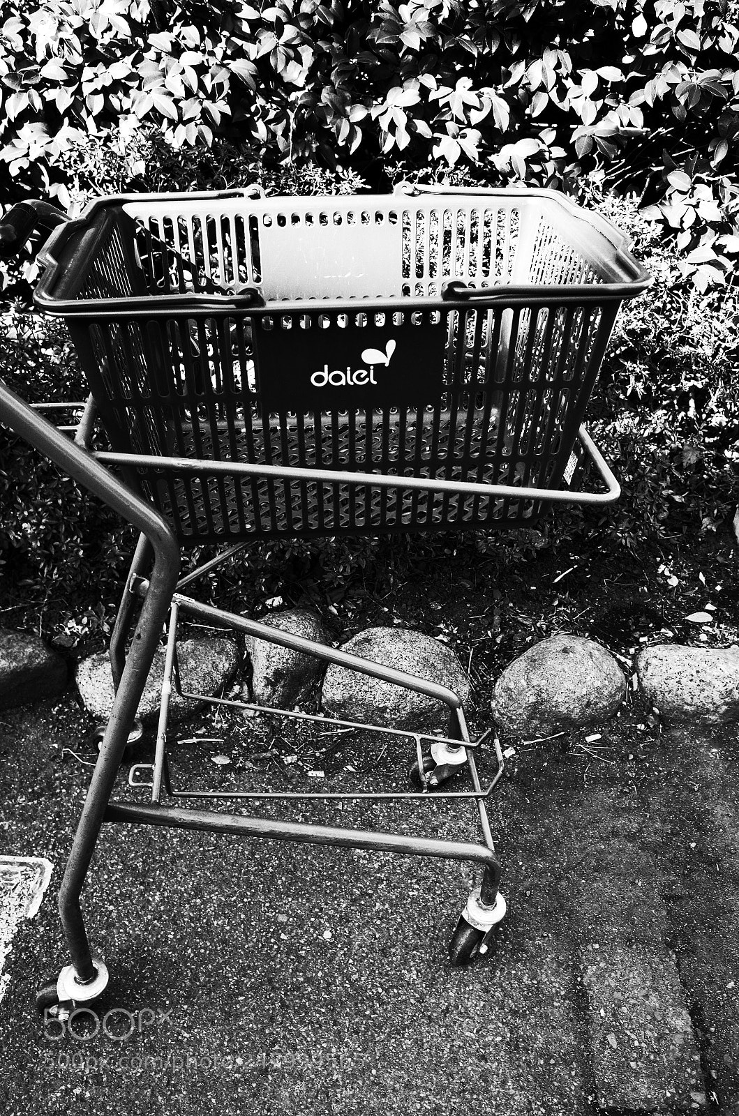 Ricoh GR II sample photo. Monotone photography