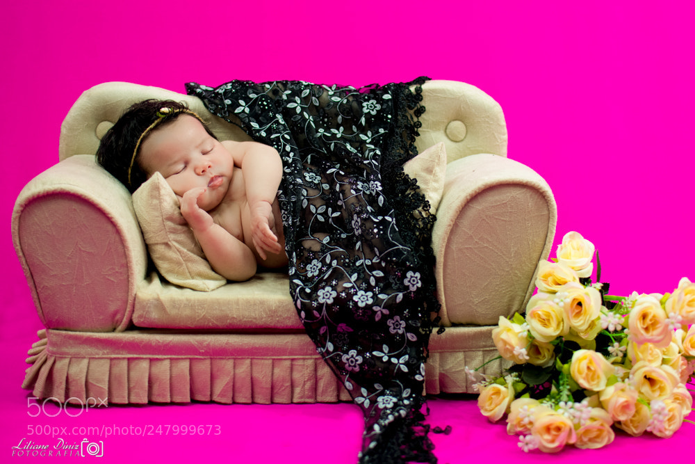 Nikon D7100 sample photo. 1.jpg photography