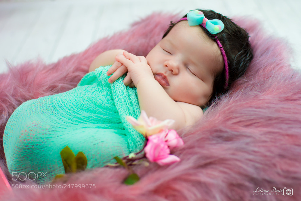 Nikon D7100 sample photo. 13.jpg photography