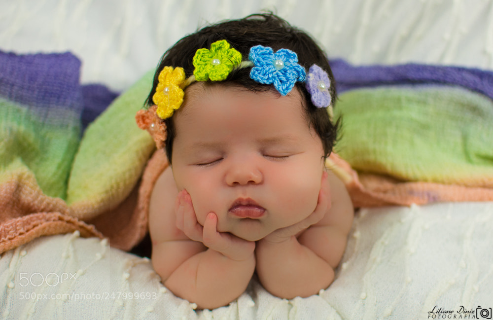 Nikon D7100 sample photo. 22.jpg photography