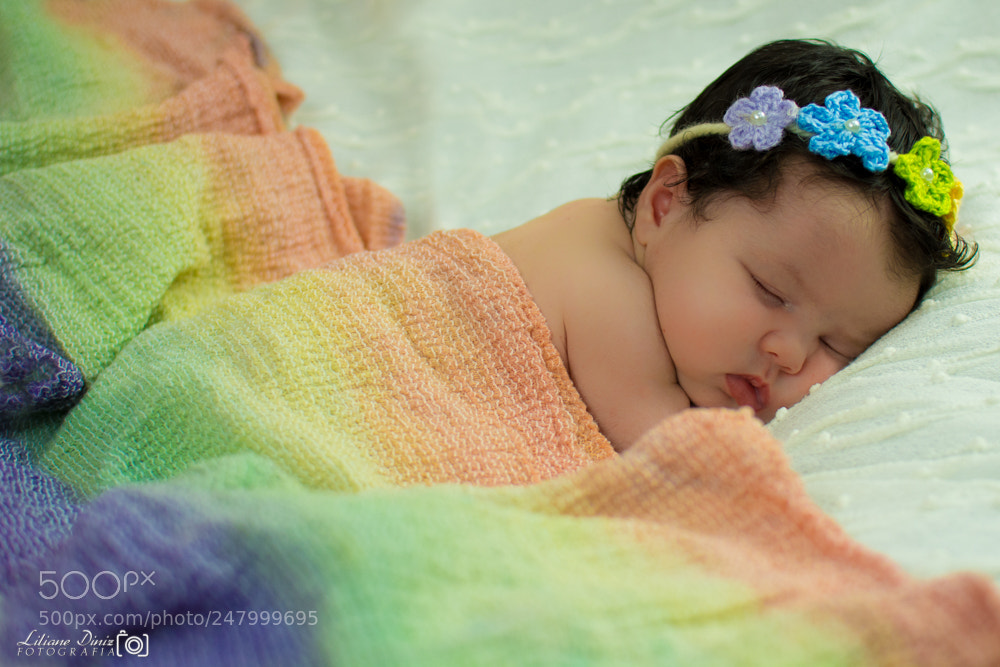 Nikon D7100 sample photo. 20.jpg photography