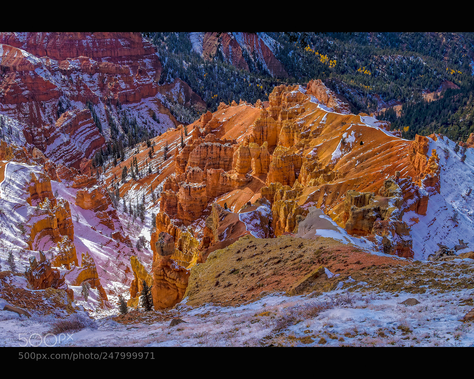 Sony Alpha NEX-5N sample photo. Cedarbreaksoutcropping xborder photography