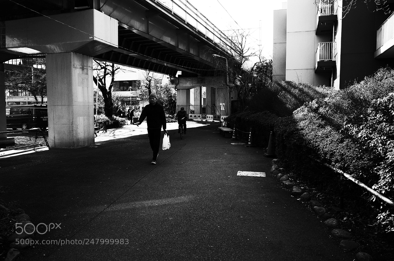 Ricoh GR II sample photo. Monotone photography