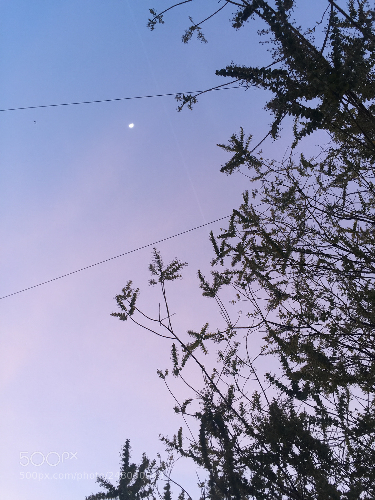 Apple iPhone 6 sample photo. Tropical sunset in england photography