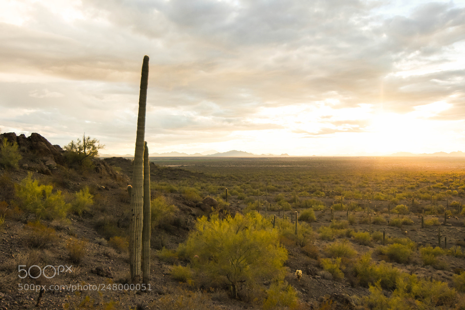Nikon D7200 sample photo. Picacho peak state park photography
