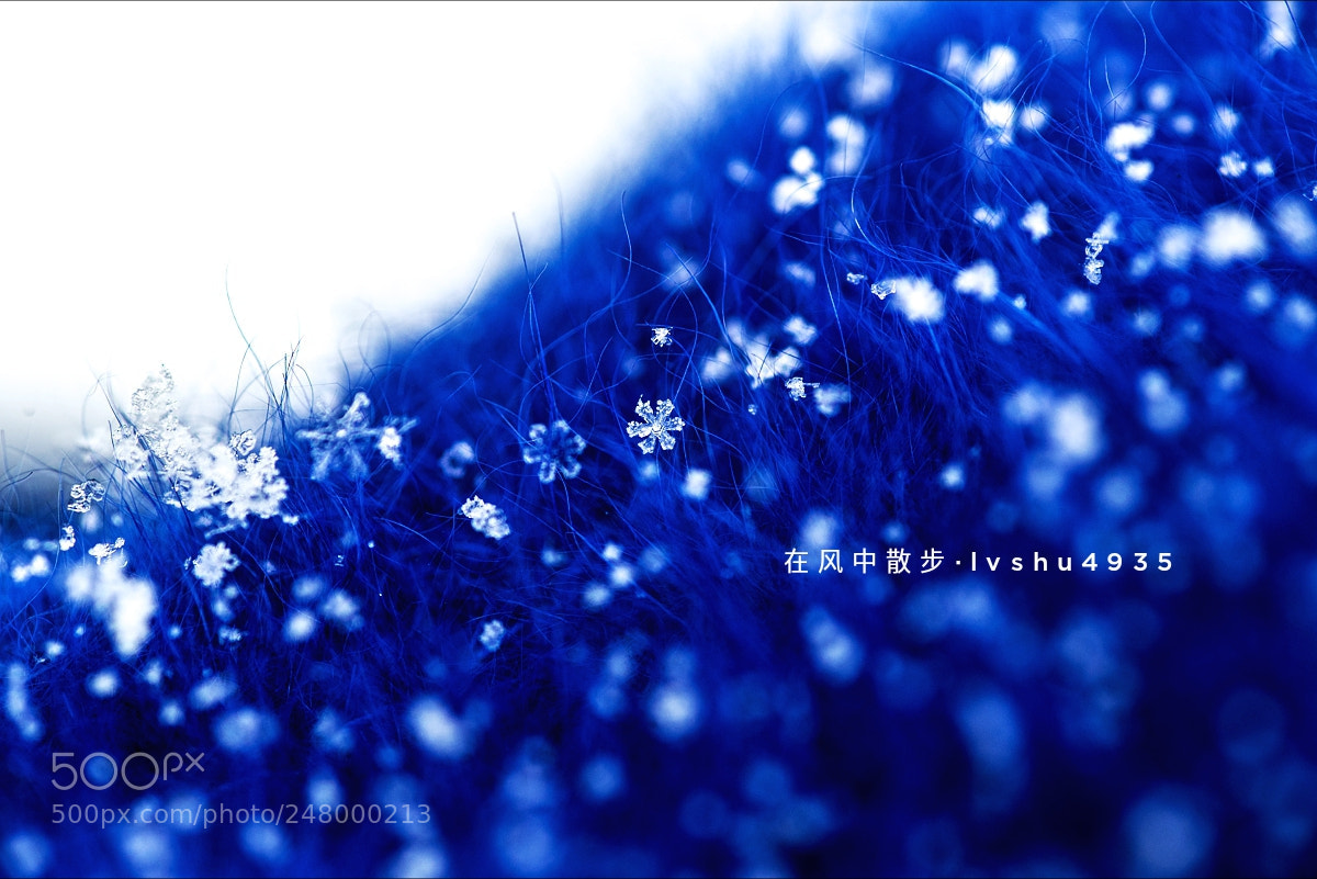 Nikon D800 sample photo. Untitled photography