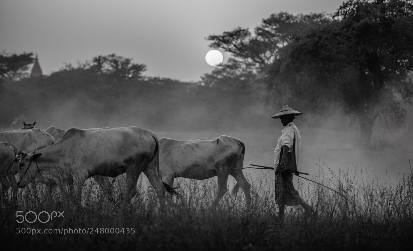 Nikon D850 sample photo. Landscape of myanmar photography