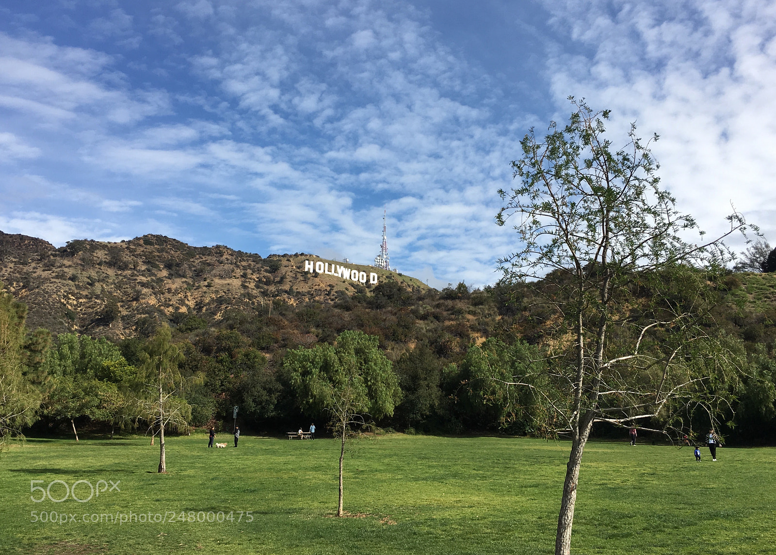 Apple iPhone 6s Plus sample photo. The hollywood sign photography