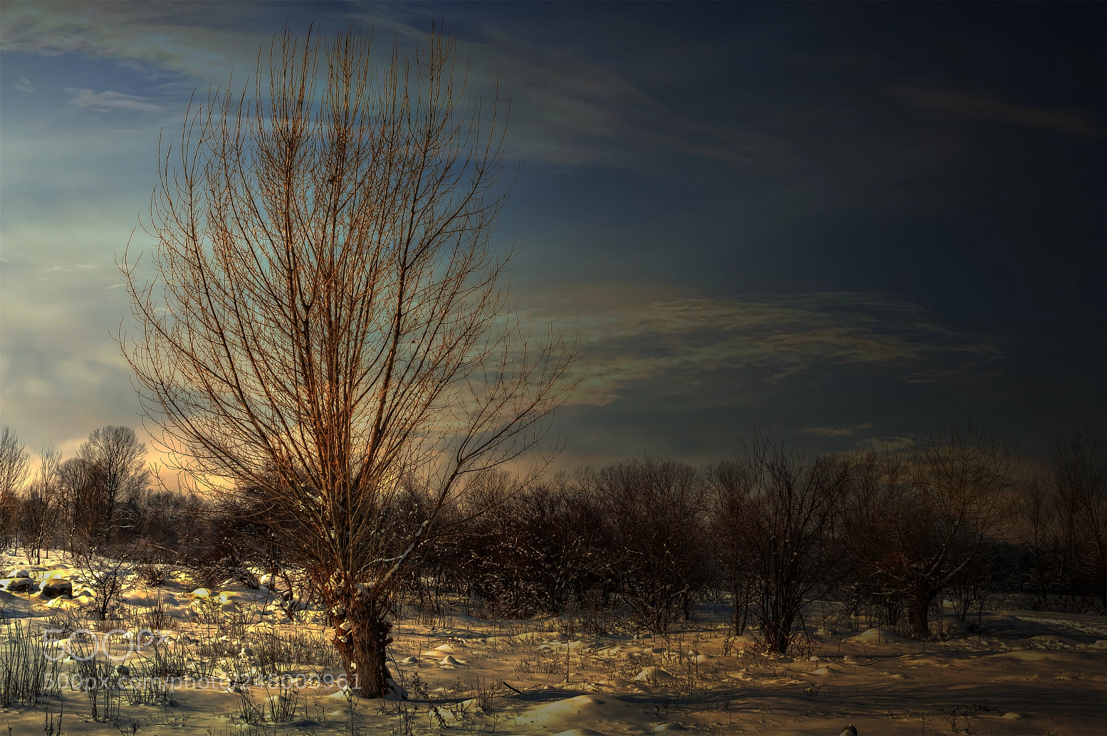 Nikon D3200 sample photo. It's still winter photography