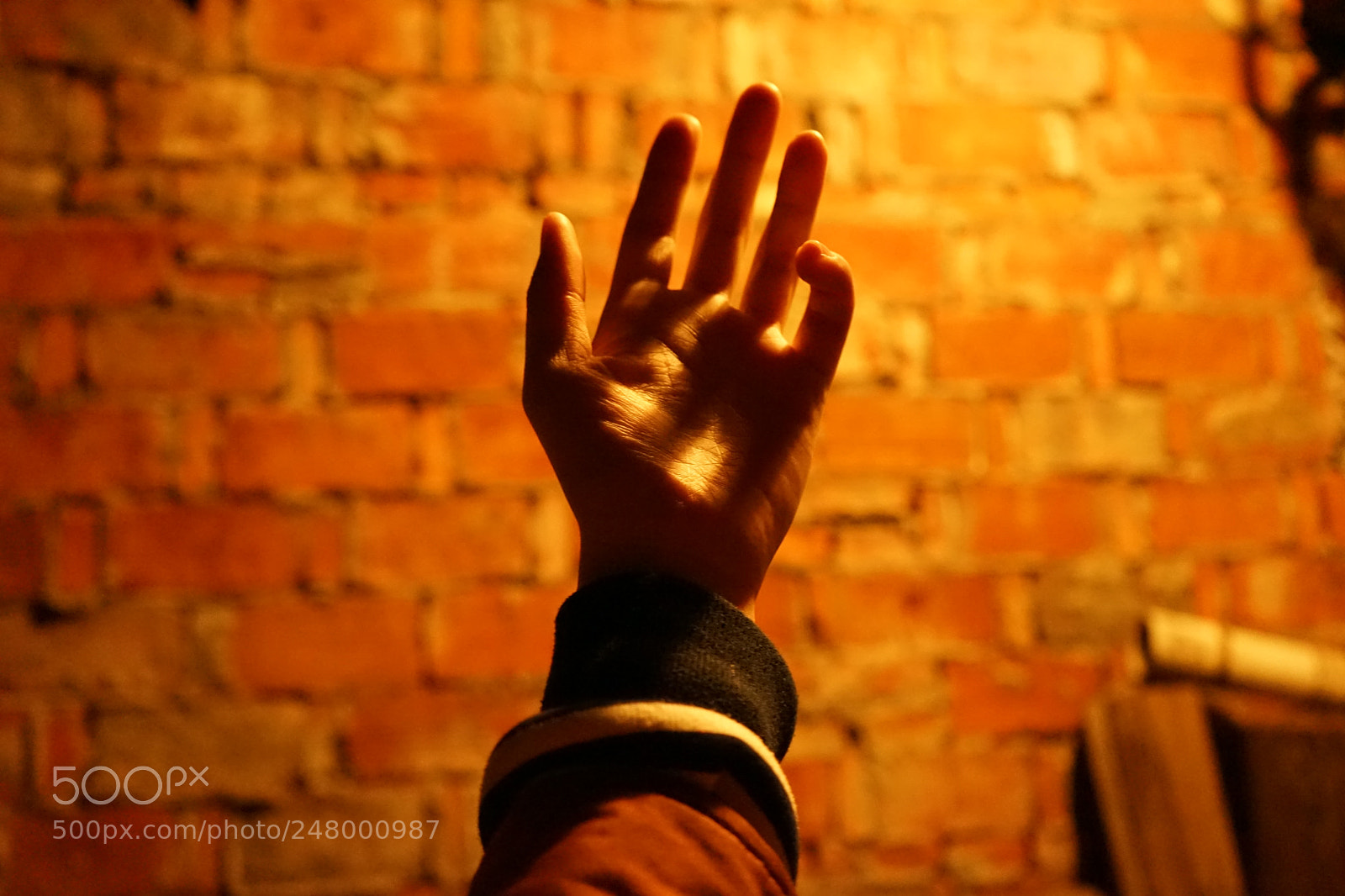 Sony a7 sample photo. O photography