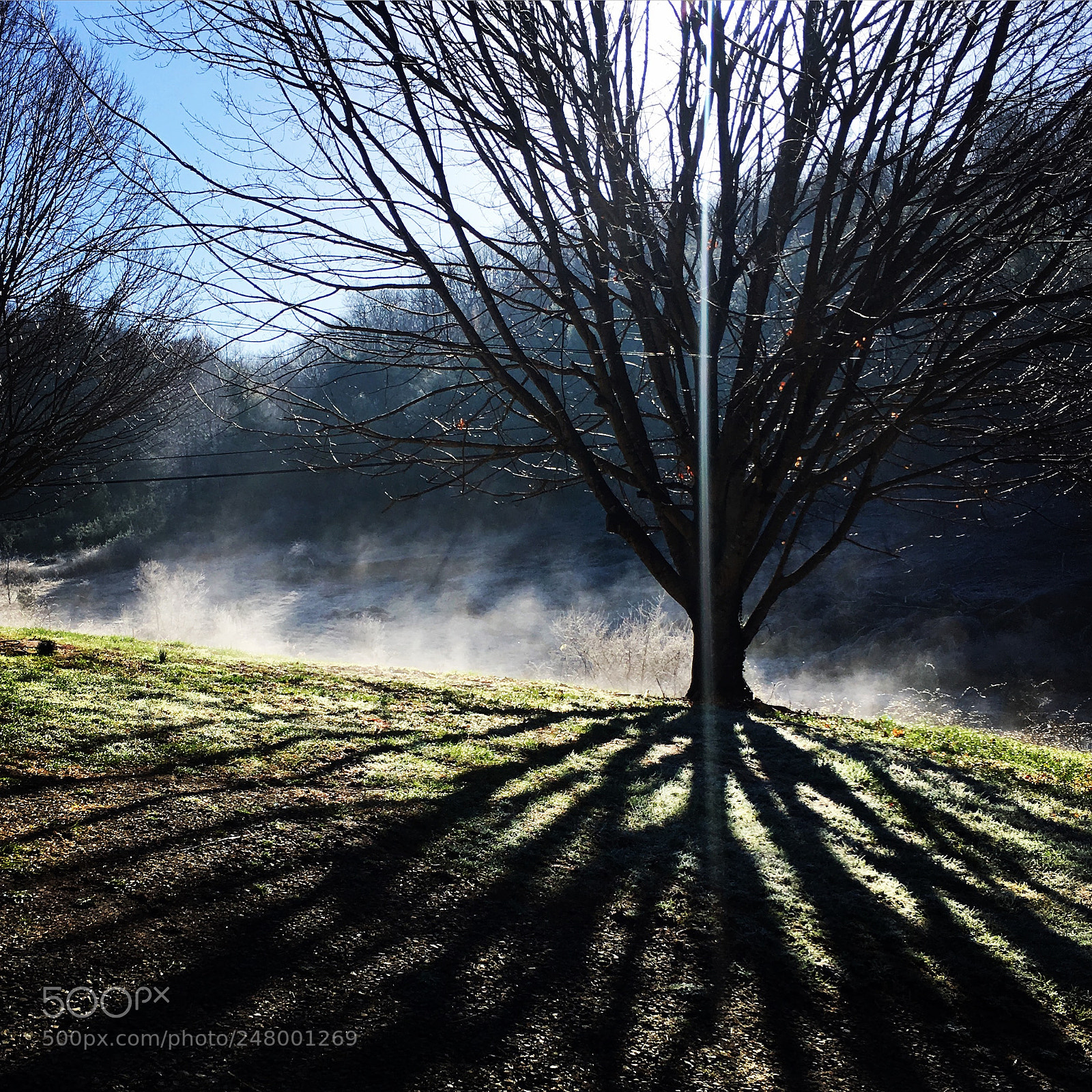 Apple iPhone 6s Plus sample photo. Shadows view photography