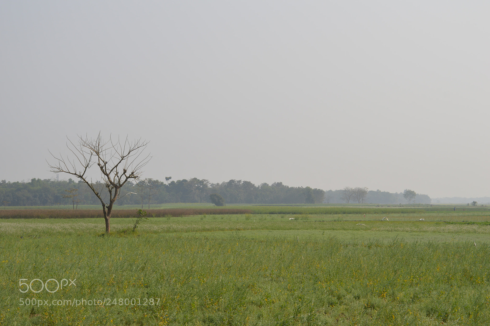 Nikon D3200 sample photo. Untitled photography