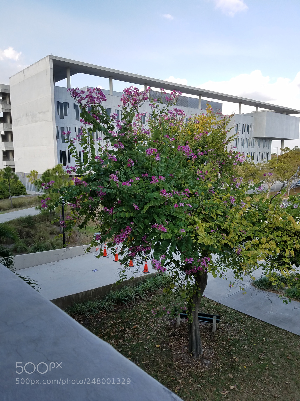 Samsung Galaxy S7 sample photo. Study photography