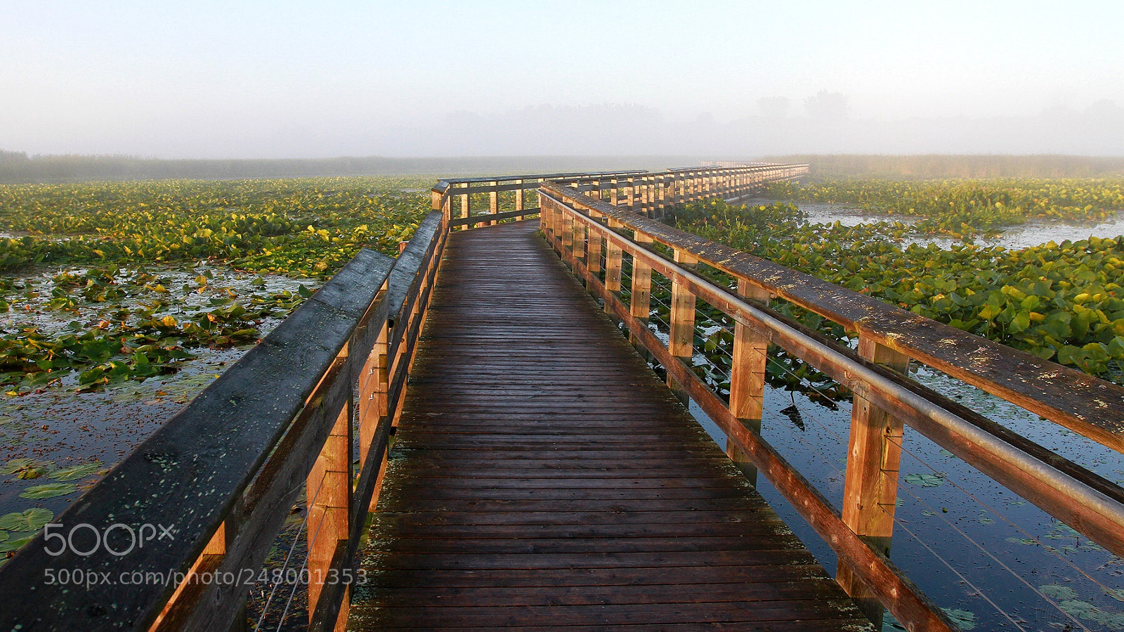 Canon EOS 7D sample photo. Boardwalk photography