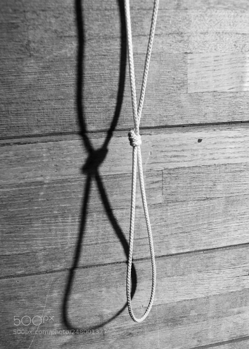 Nikon 1 V1 sample photo. Still life photography
