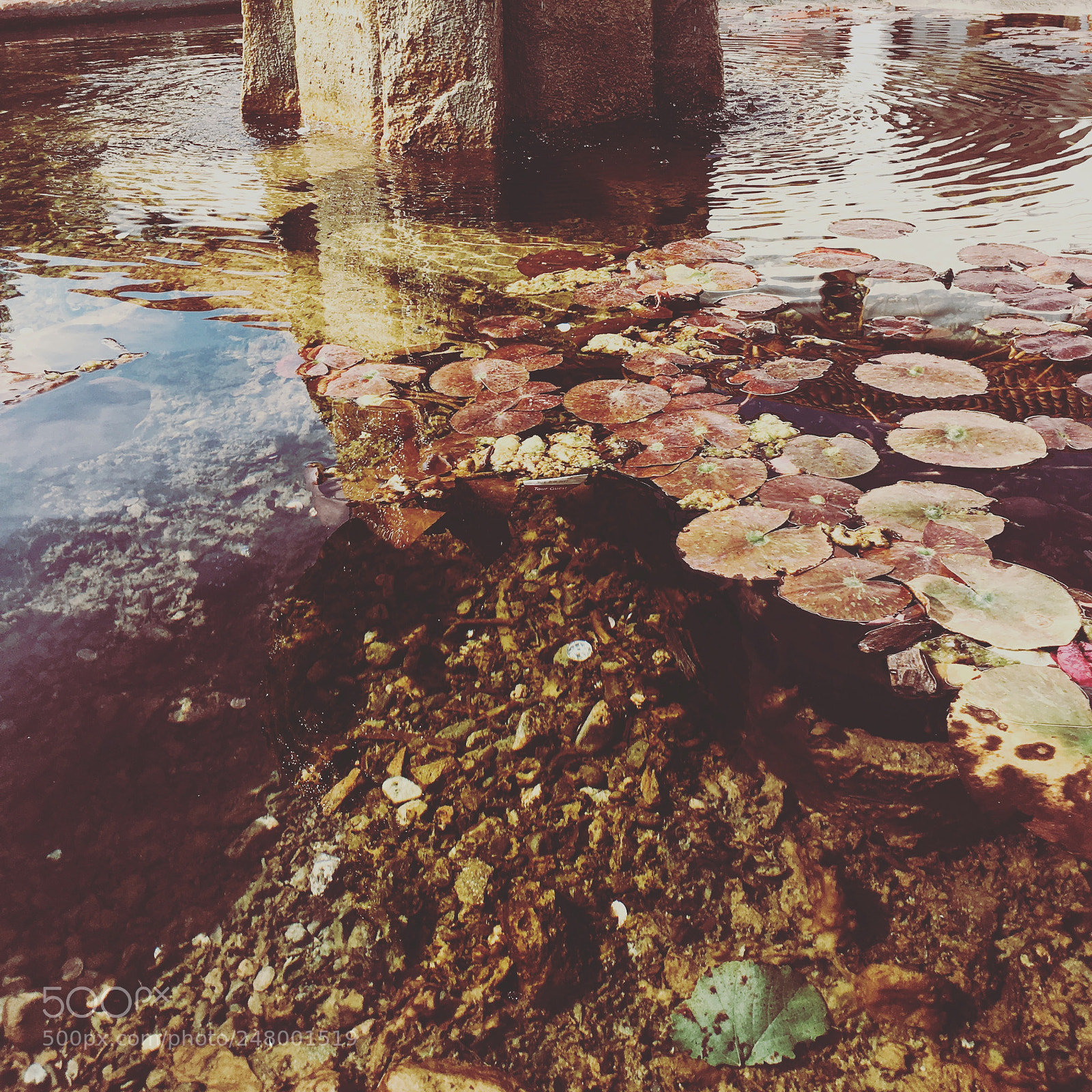 Apple iPhone 6s sample photo. Img photography