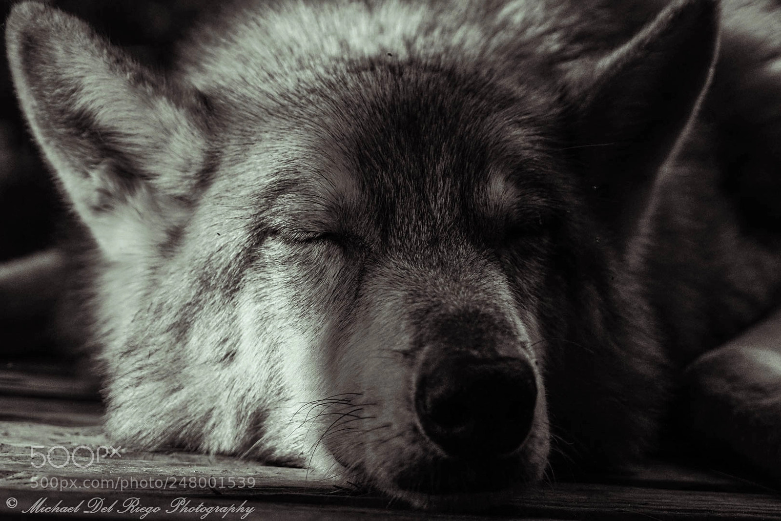 Sony a7 II sample photo. Winterfell dreaming photography