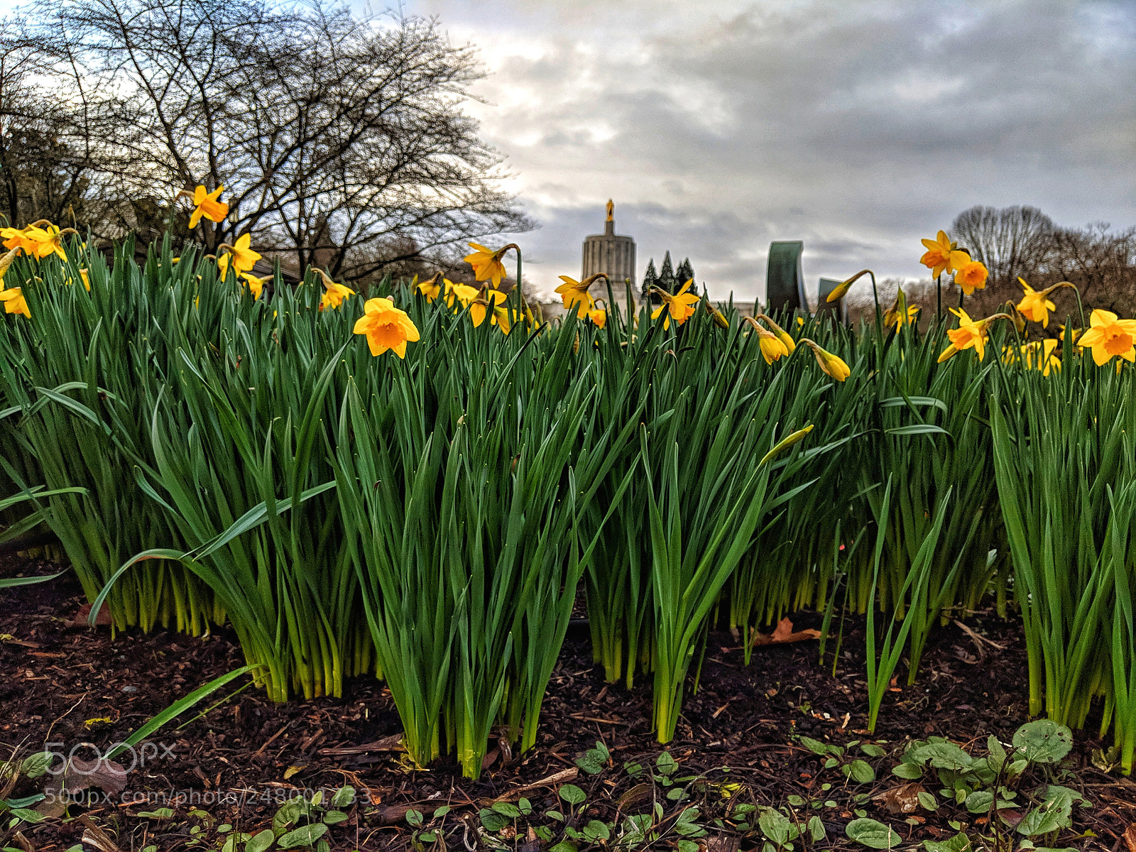 Google Pixel 2 sample photo. Morning capitol 322018 photography