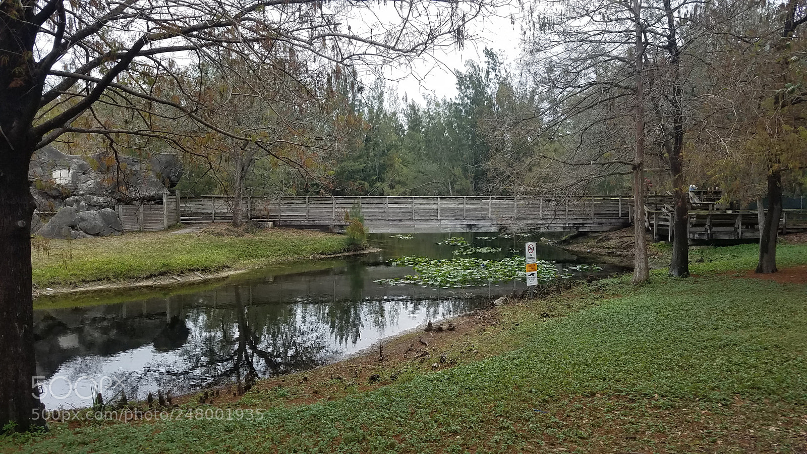 Samsung Galaxy S7 sample photo. Thinking of you photography