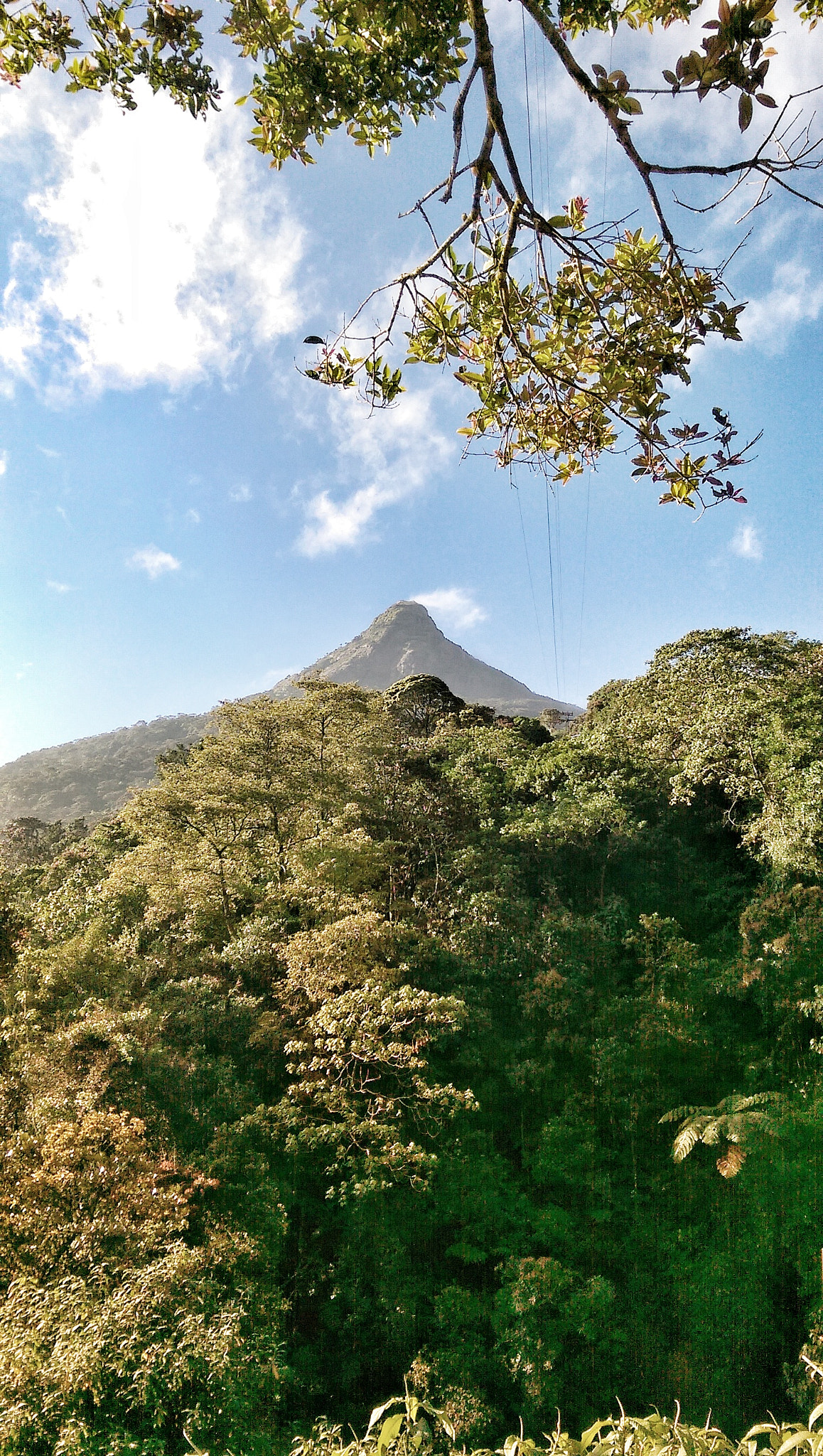 HTC ONE M8 sample photo. Adam's peak photography