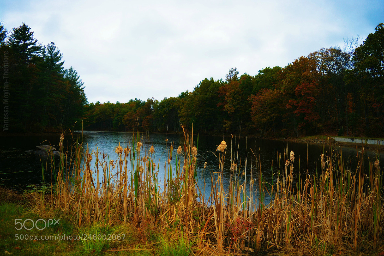 Nikon D5200 sample photo. Taylor mills photography