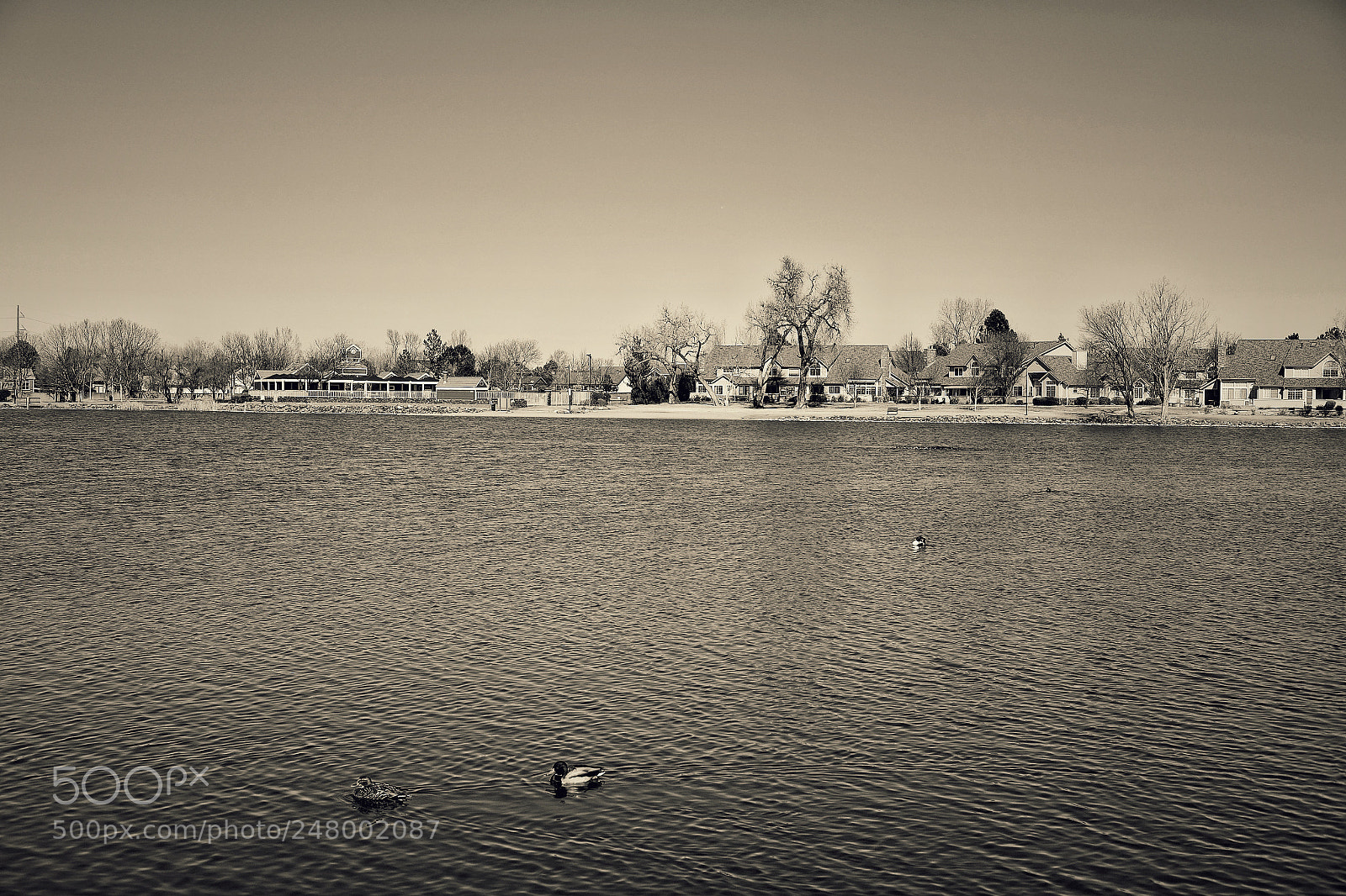 Fujifilm X-E2S sample photo. Beautiful march day at photography