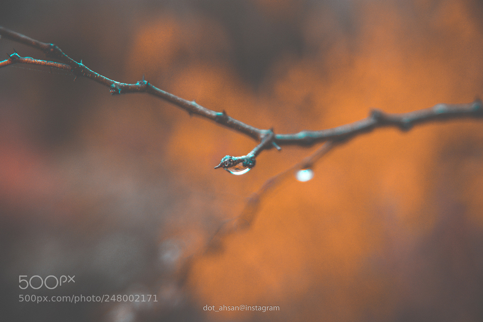 Nikon D7100 sample photo. Nature at best photography
