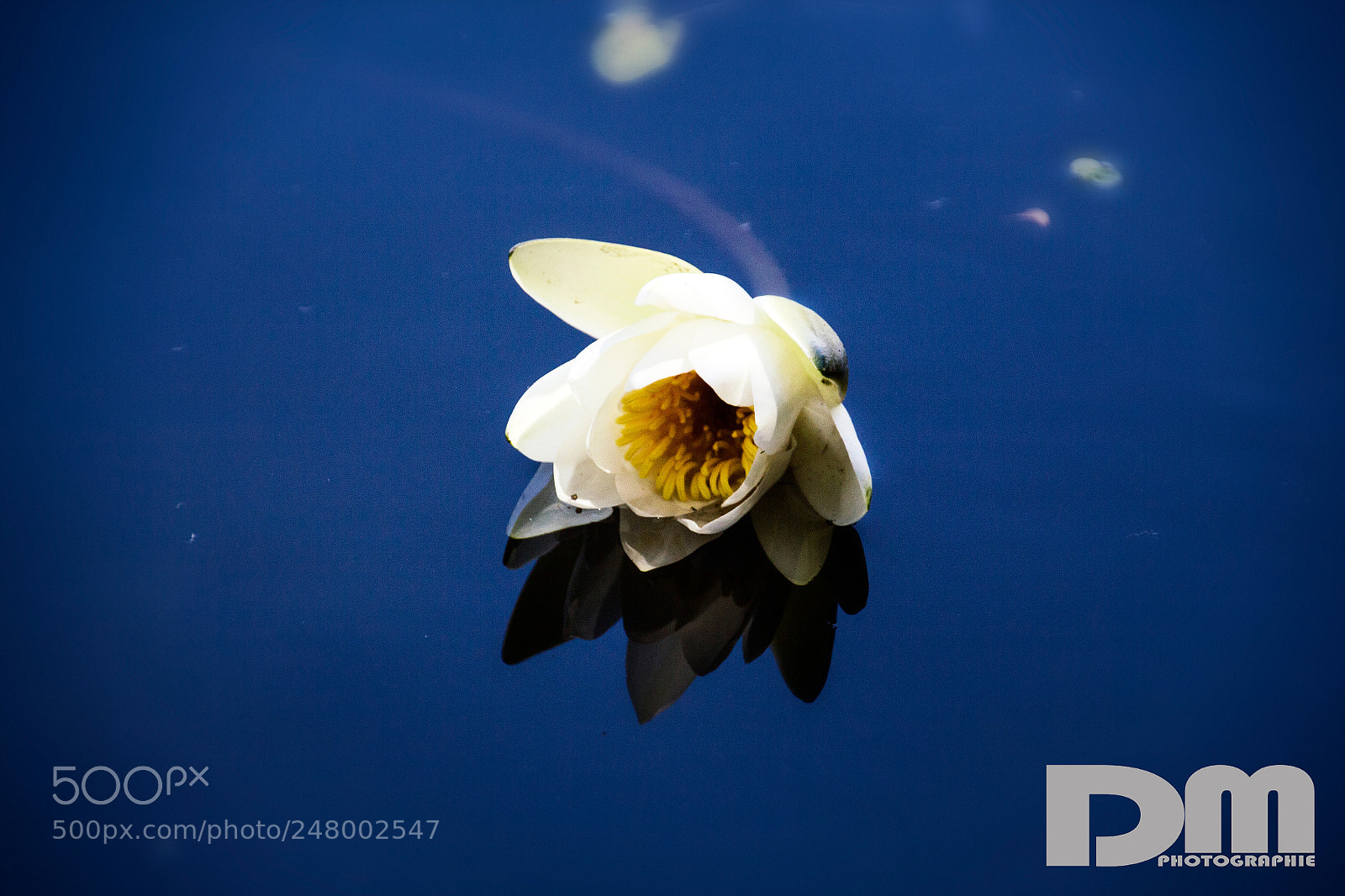 Canon EOS 700D (EOS Rebel T5i / EOS Kiss X7i) sample photo. At the dahme in photography