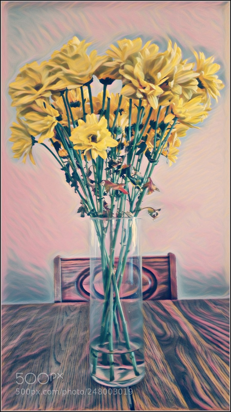 Samsung Galaxy S6 sample photo. Untitled photography