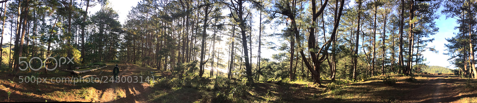 Apple iPhone 6 sample photo. A memorable place photography
