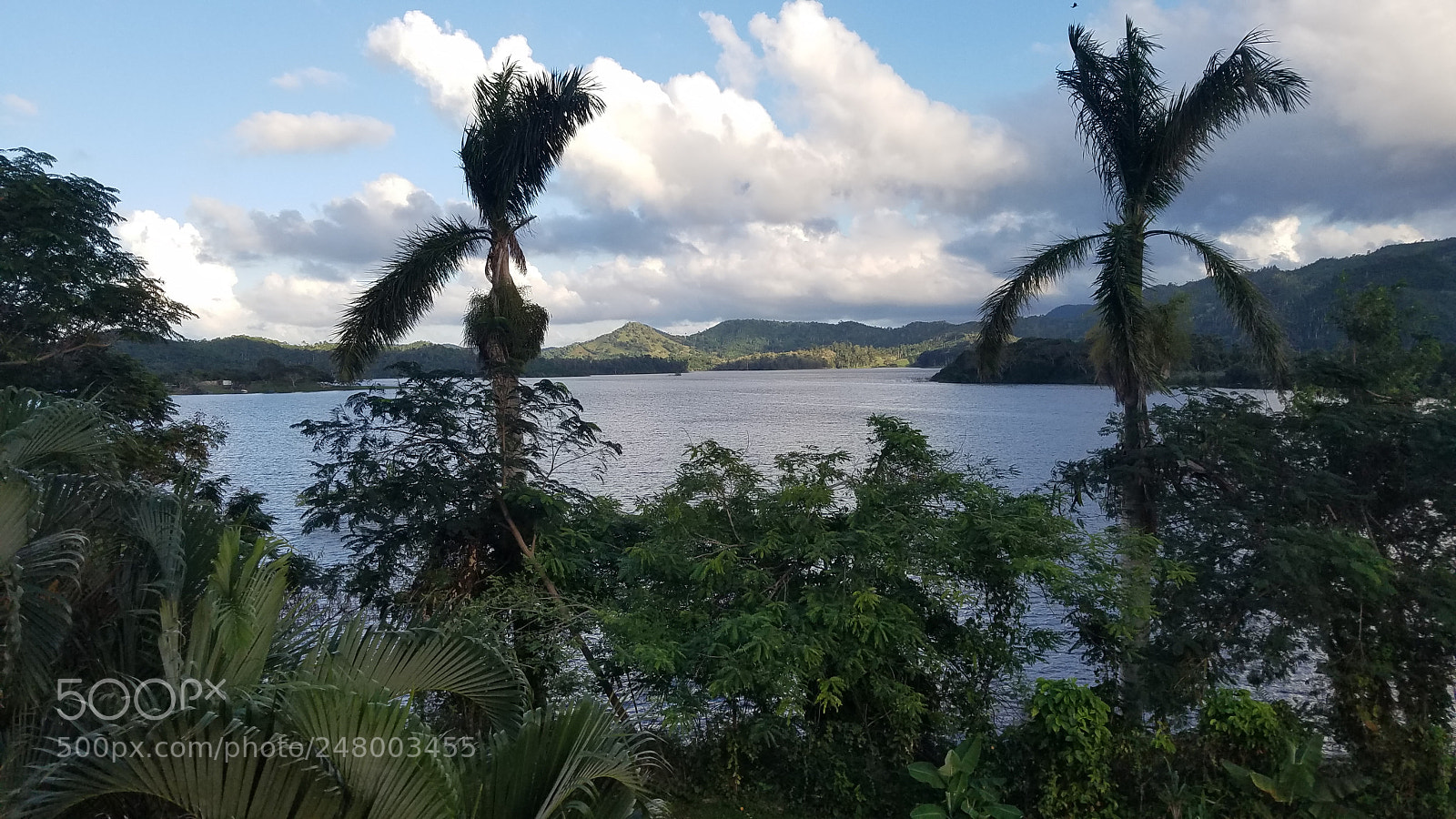 Samsung Galaxy S7 sample photo. Afternoon photography