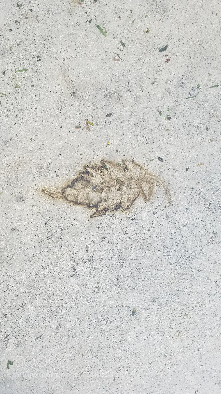 Samsung Galaxy S7 sample photo. Foot print photography