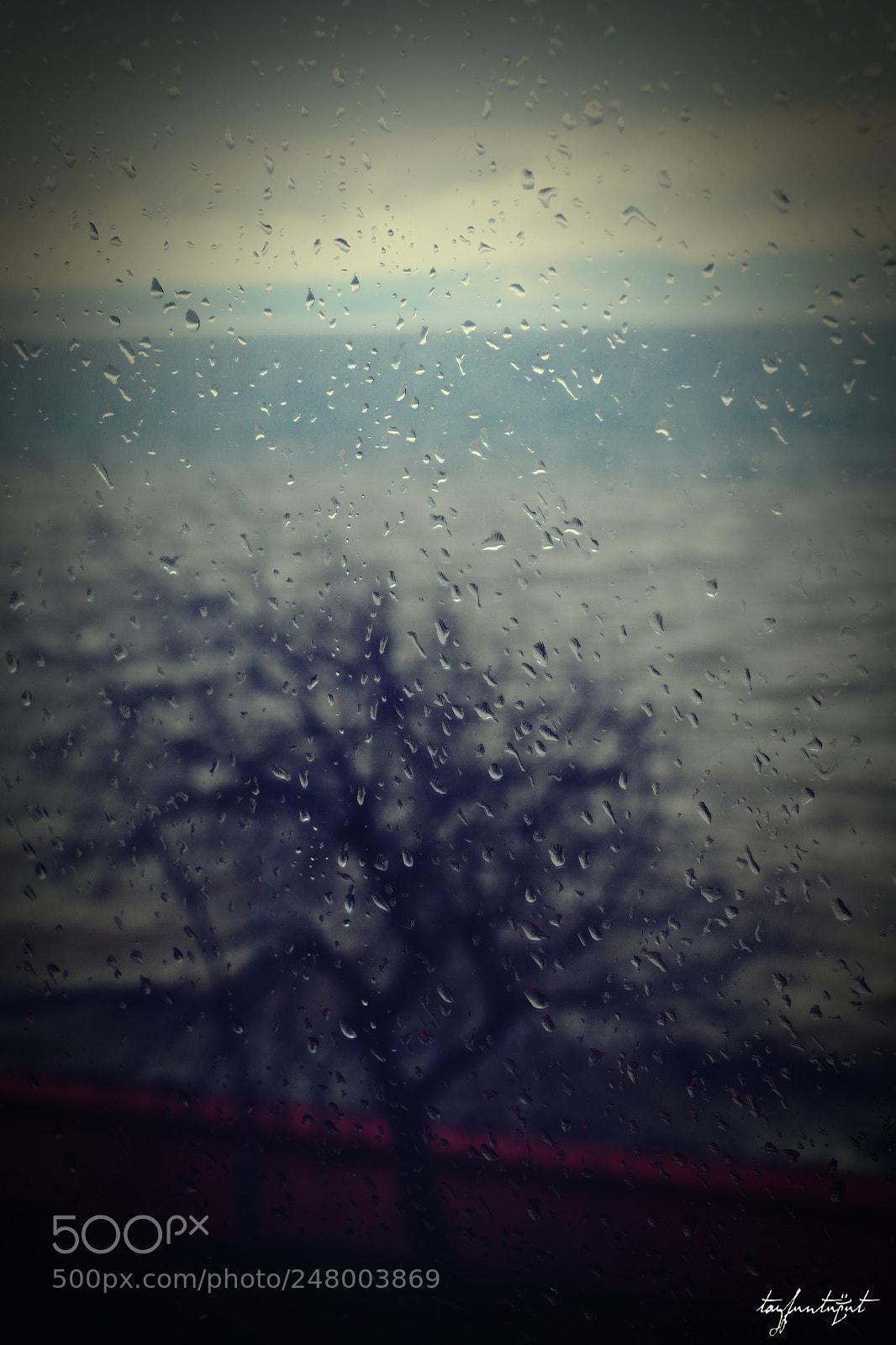 Nikon D5200 sample photo. Behind the windows photography
