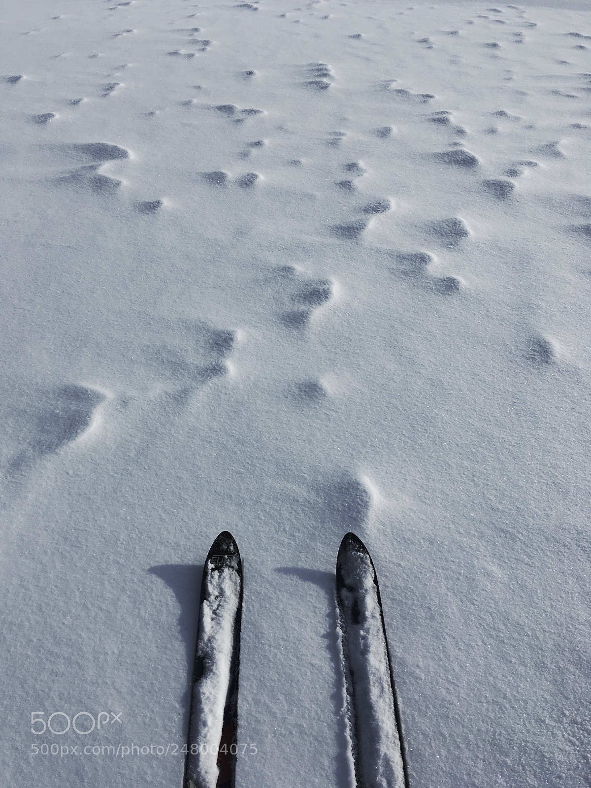 Apple iPhone SE sample photo. Snow sea photography