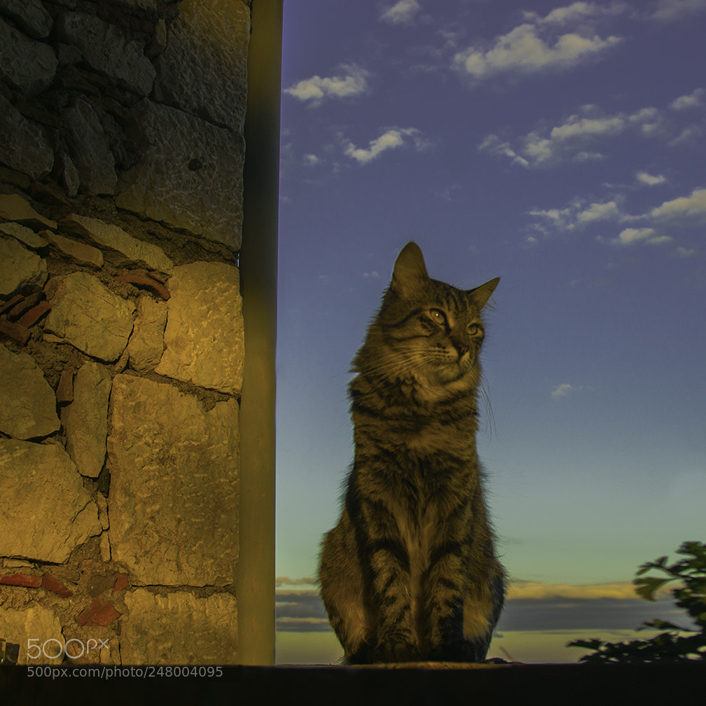 Pentax K-5 sample photo. Italian beauty from castalmola photography