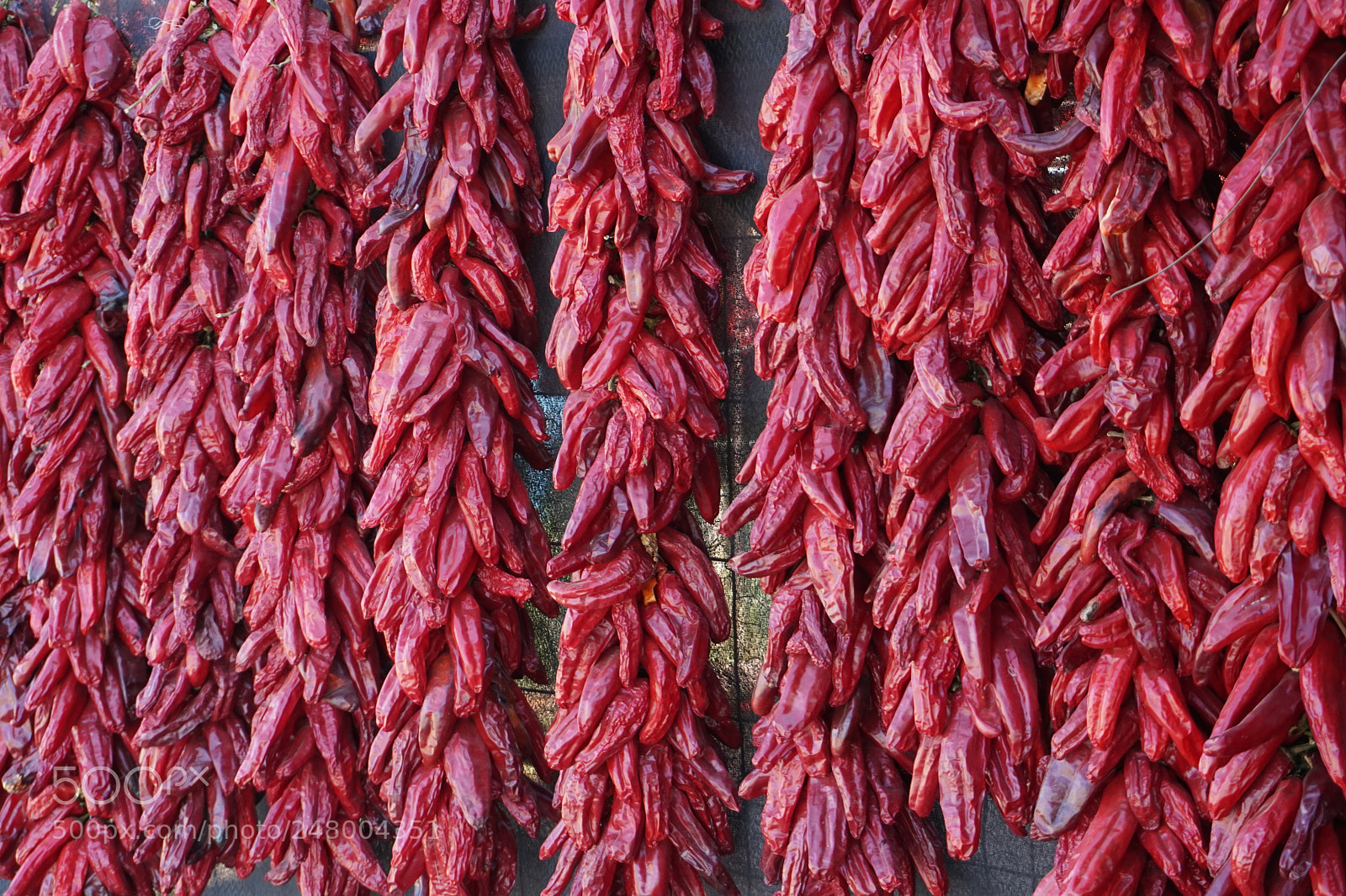 Sony a6300 sample photo. Chile tradicional en sonora photography